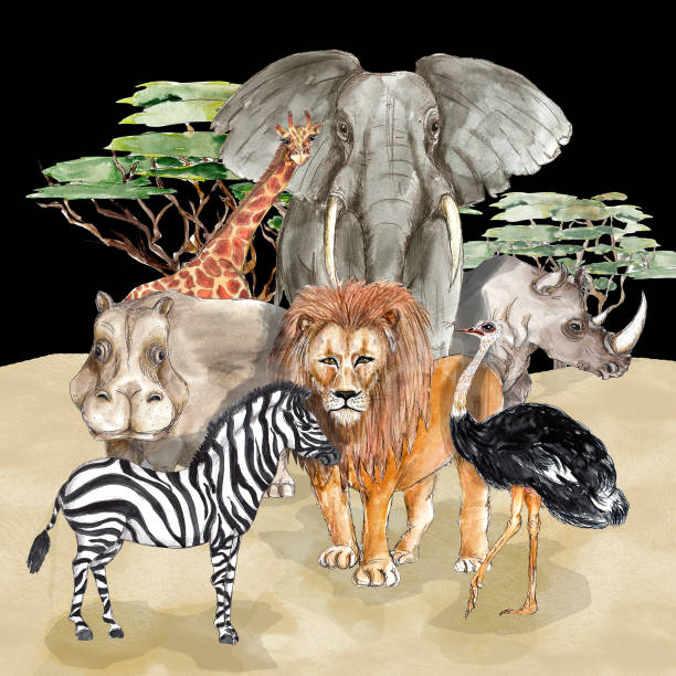 istock Safari African animals portrait watercolor illustration 1627572628