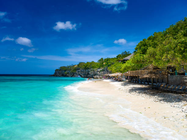 Shoreline with palapas on playa kalki, Curacao
