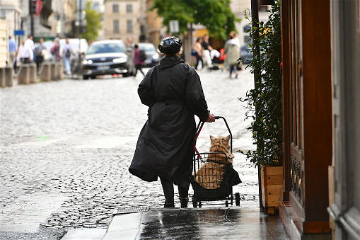 Paris, France-07 29 2023: Old lady and her dog in a street of the Saint-Germain-des-Prés quarter of Paris after the rain, France.