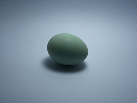 a light blue duck egg on a white background
