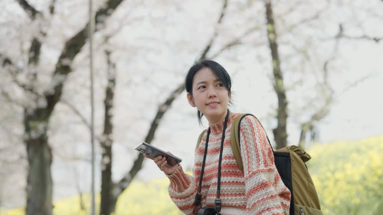 Happy asian female tourists in spring park sitting alone and use smartphone for chatting with her boyfriend during  the journey.