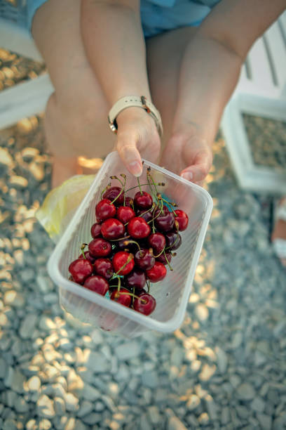 istock Women's hands holding a box of ripe cherries 1627645210