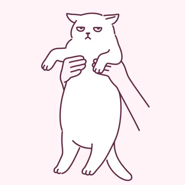 Vector illustration of Holding up cat cute drawing