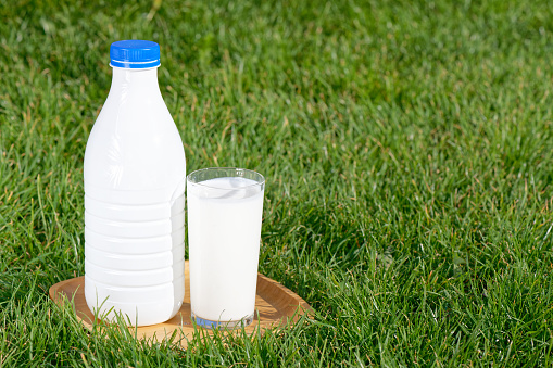 Bottle and a glass of milk in the grass on natural background