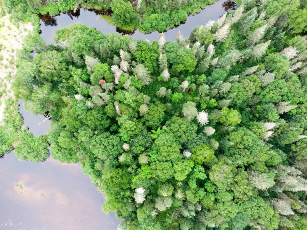 istock Aerial view of Ste-Marguerite river 1627671441