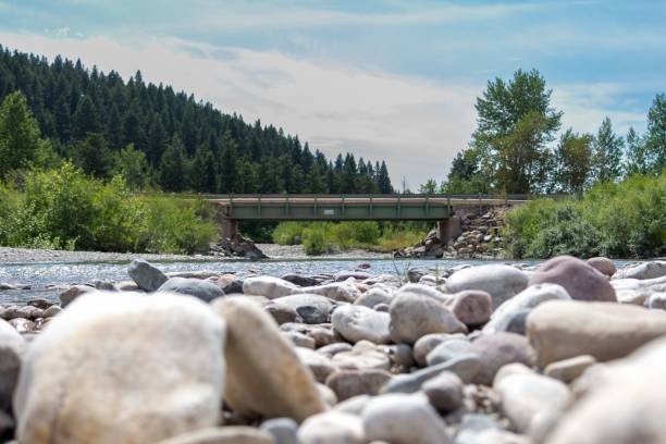 istock the river runs under a small bridge in the middle of a forest 1627675912