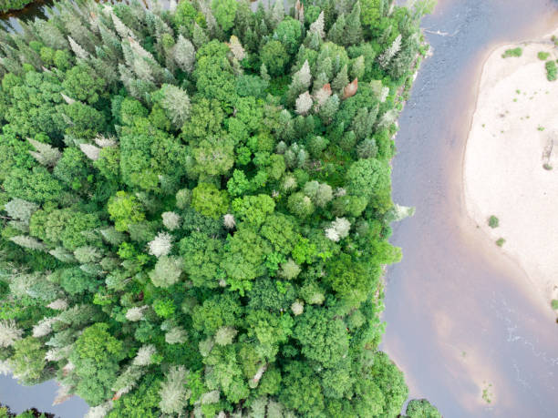 istock Aerial view of Ste-Marguerite river 1627678606
