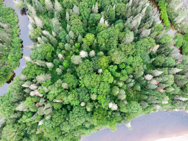 istock Aerial view of Ste-Marguerite river 1627678632