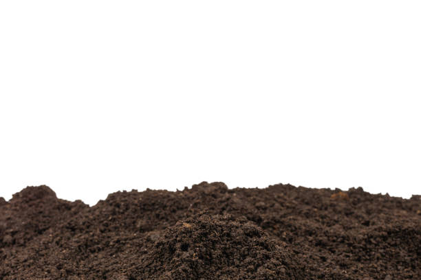 istock Black land for plant background. 1627688716