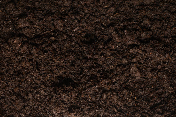istock Black land for plant background. 1627688892