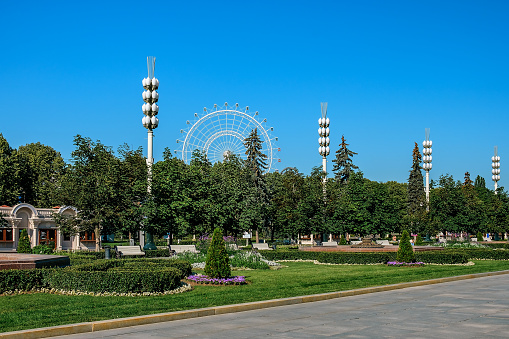 MOSCOW, RUSSIA-August 10, 2023: Ferris wheel Sun of Moscow and flowers, VDNKh, Moscow.