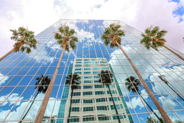 Looking upward at palm trees and a modern tall office building with blue sky and reflections of puffy white clouds in Florida stock photo