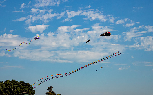 Long tail kites flying against a blue sky with clouds