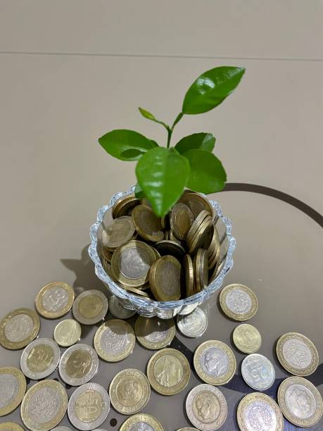 istock accumulation piggy bank 1627831685