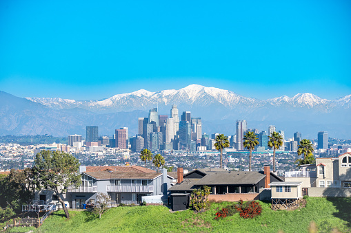 Skyline of Los Angeles with snow-capped mountain in background and palm trees in foreground.