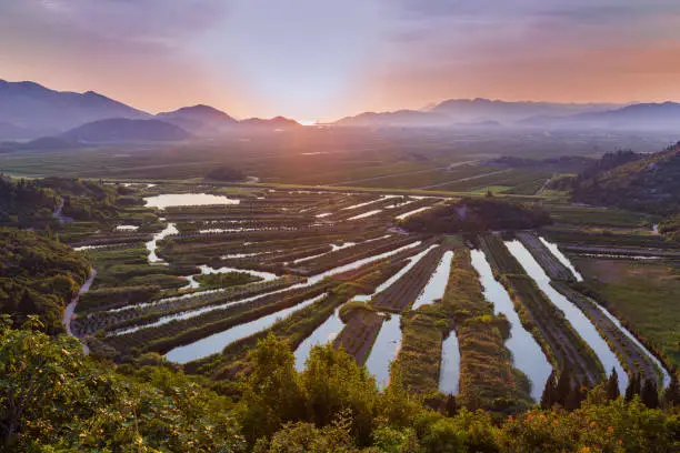 Photo of The valley of the Neretva river with small fields that are interspersed with irrigation canals and where corn, melons, peaches, tomatoes and cucumbers grow