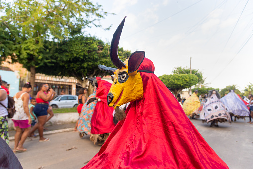 Brazil Carnival, Frevo Umbrella, Frevo, People, Papangu