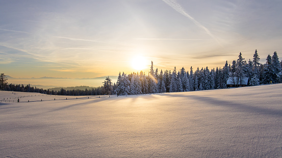 istock Untouched winter landscape with deep snow during sunset on a mountain pasture in Austria 1627860812