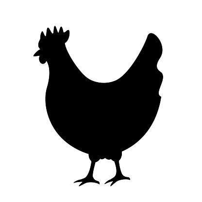 Chicken silhouette vector icon isolated on white background