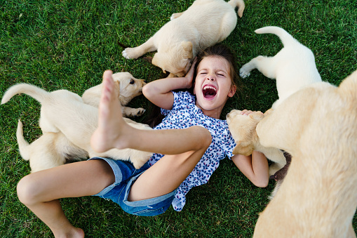 Above shot of cheerful little girl playing with group of little puppies on the lawn