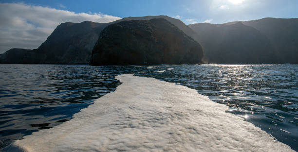 Sea foam trail in Chinese harbor at Santa Cruz Island in the Channel Islands National Park - California United States stock photo