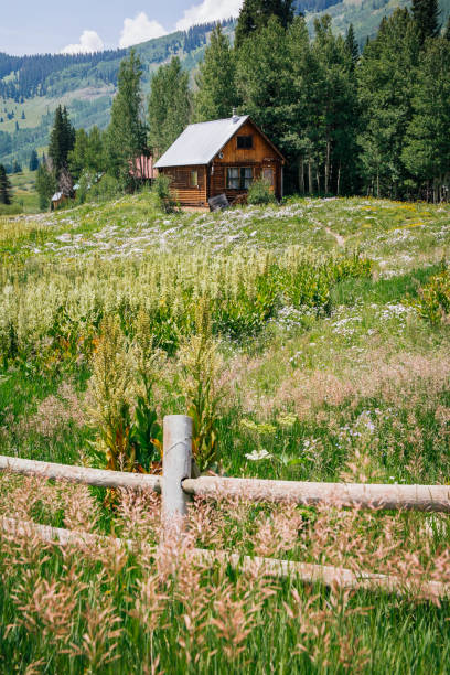 istock Cabin in the Woods Crested Butte, Colorado 1627949455