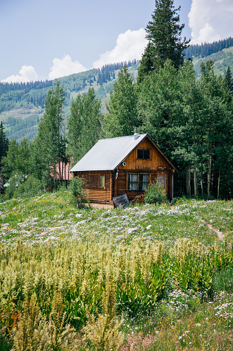 Photo of a log cabin in construction in a nature place