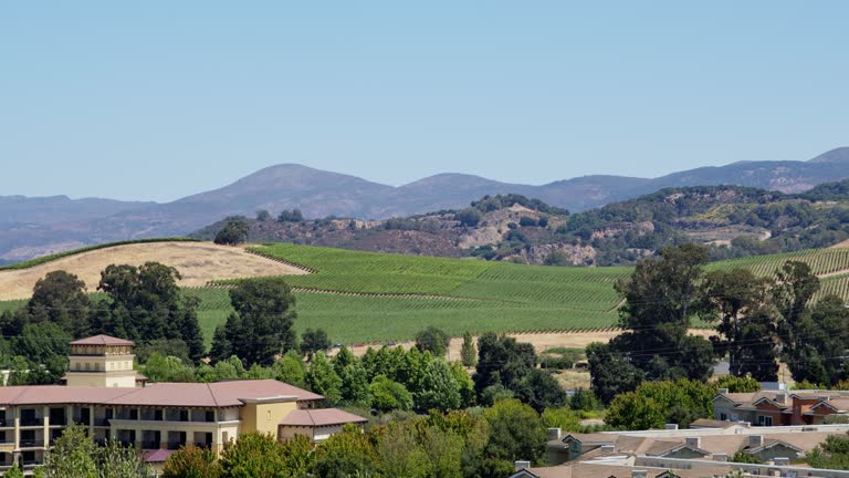 Hills of Scenic Napa, CA