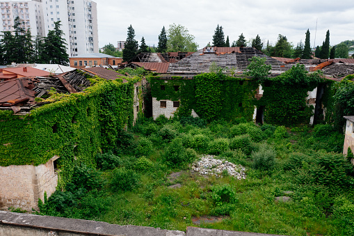 Overgrown by plants abandoned ruined houses at ghost-town. Green post-apocalypse concept.
