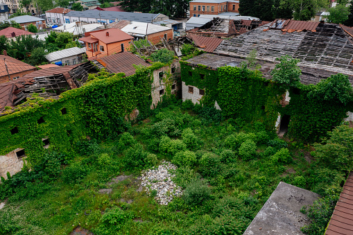 Overgrown by plants abandoned ruined houses at ghost-town. Green post-apocalypse concept.
