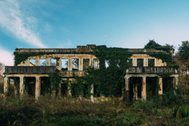 Old ruined overgrown abandoned mansion