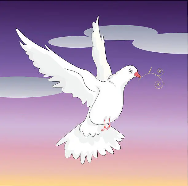 Vector illustration of white dove