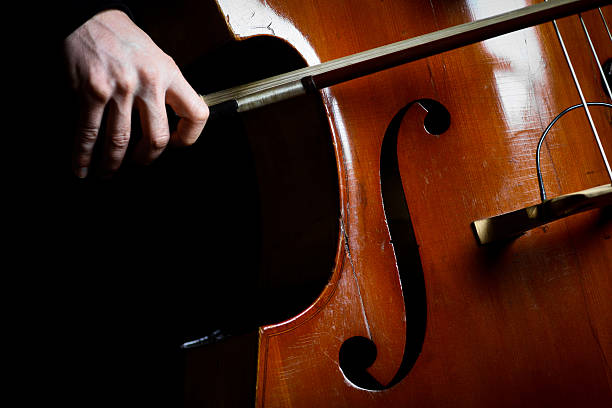 istock Vintage double bass 162814160
