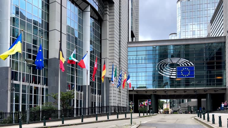 State flags European Union member states background, the European Parliament, Brussels, Belgium, Europe, August 5, 2023