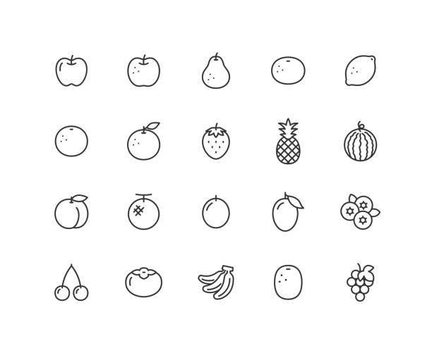 Fruit line drawing icon set. Fruit line drawing icon set. la france pear stock illustrations