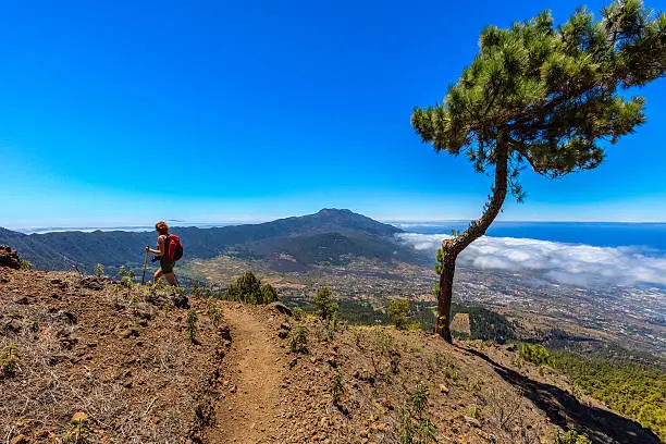 Hiker in the Caldera de Taburiente National Park, one of the natural landmarks of La Palma. The park has spectacular scenarios, springs, streams, waterfalls and towering rock formations and is crossed by numerous well-marked trails. The Caldera de Taburiente is a ring of summits of 8 km in diameter, with peaks reaching to 2000 meters. Canary Islands, Spain.