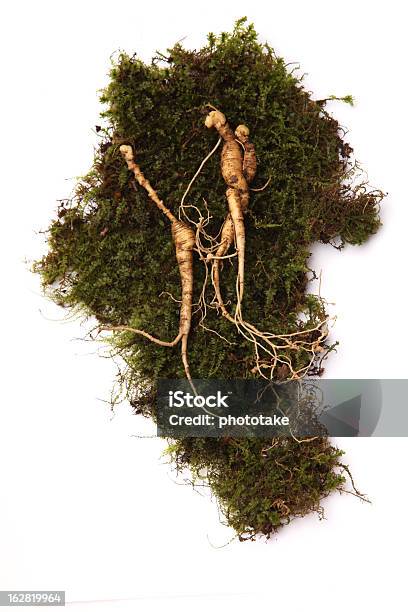 Foto de Boa Ginseng Selvagem e mais fotos de stock de 6-7 Anos - 6-7 Anos, Branco, Comida