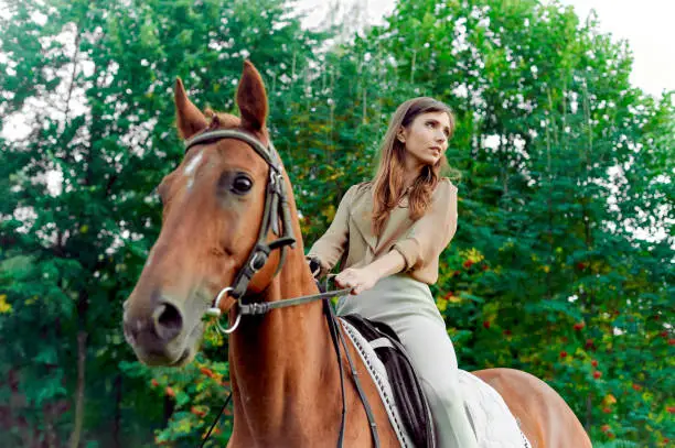 Riding a steed. Woman with horse in countryside. Equestrianism fosters well-being, relaxation. Engage in horse therapy, enjoy nature weekends, and foster animal communication for emotional balance.