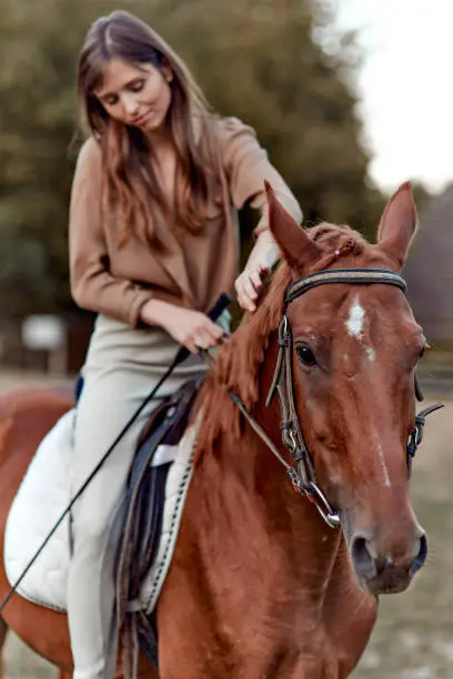 Amidst rural landscapes, a woman bonds with her horse on a grassy field. A portrait of a young jockey highlights farm training and an outdoor saddle sports setup. Equestrianism, horse riding