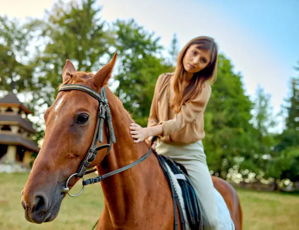 A woman gently stroking a horse on a grassy field amidst rural landscapes. A portrait of a young jockey highlights farm training and an outdoor saddle sports setup. Equestrianism, horse riding