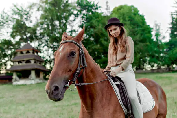 Woman with horse in countryside. A charming female rider on her horse. Equestrianism fosters well-being, relaxation. Young lady and her horse unwrapping emotions with a horse riding lesson