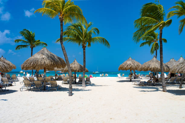 istock Palm trees and palapas on Palm Beach, Aruba 1628260095