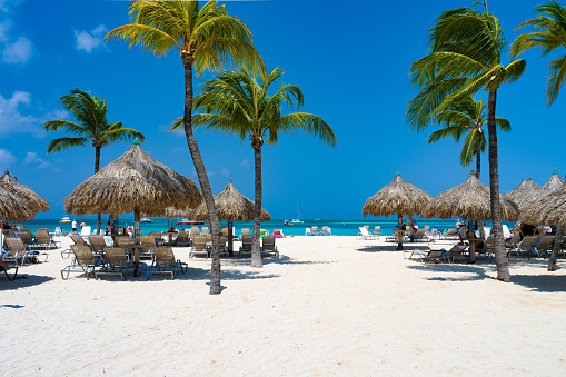 Palm trees and palapas on Palm Beach in Aruba