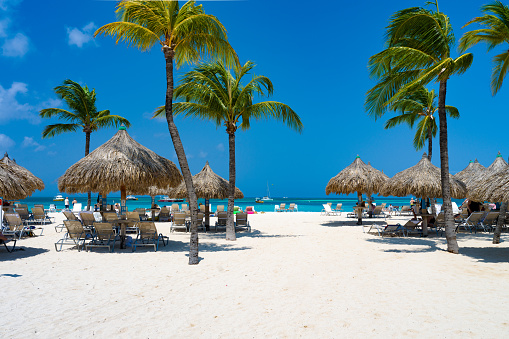 A bird's eye view of a beach with palms and a lighthouse in the Dominican Republic