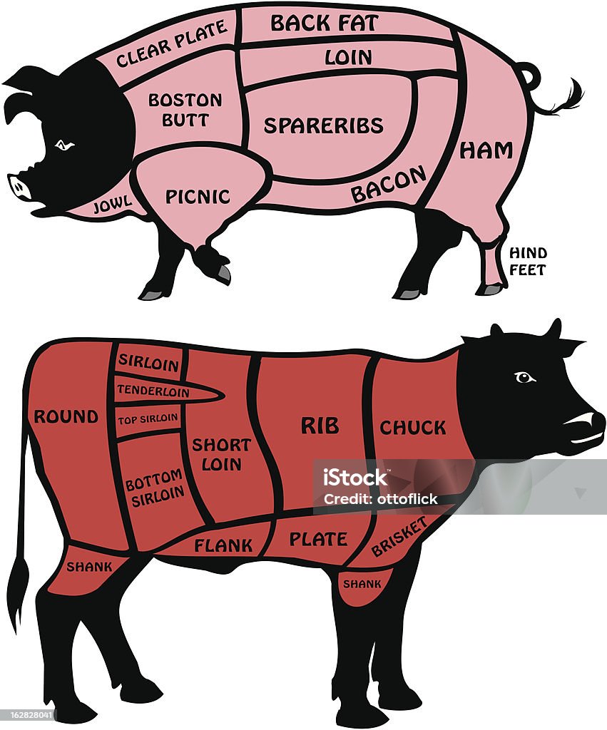 american de longe de porc et de boeuf - clipart vectoriel de Agriculture libre de droits