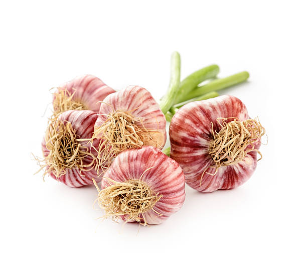 Fresh garlic on a white background stock photo