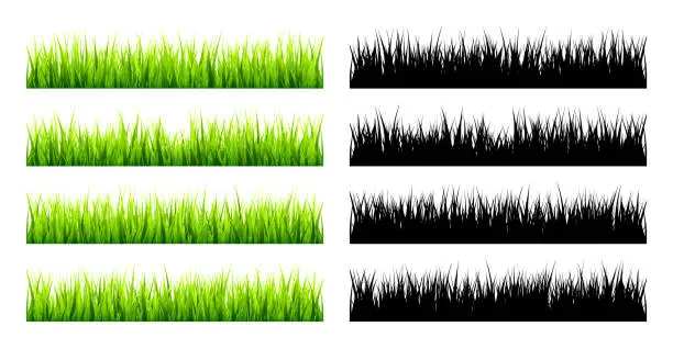 Vector illustration of Meadow silhouettes with grass, plants on plain. Green and black panoramic summer lawn landscape with herbs, various weeds. Herbal border, frame element. Horizontal banners. Vector illustration