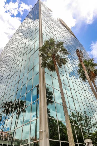 Palm Trees and modern tall office building with blue sky and reflections of puffy white clouds in Florida stock photo