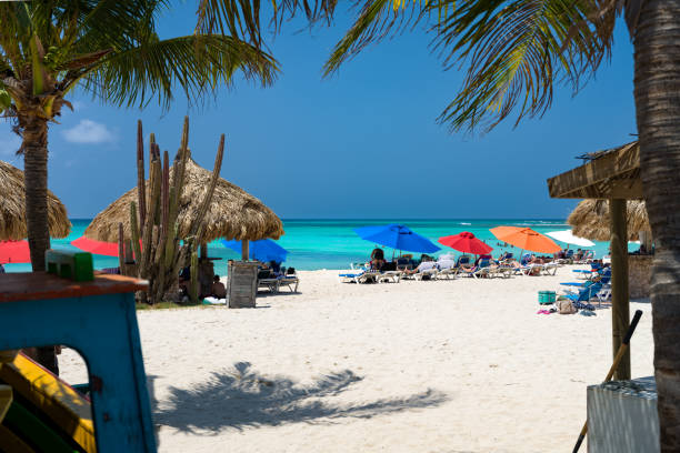 istock Chairs and umbrellas on Arashi Beach, Aruba 1628348242