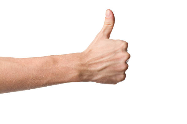 A man showing a thumbs up sign Thumbs up hand sign isolated on white background ok sign photos stock pictures, royalty-free photos & images